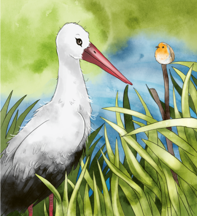 Storch und Rotkehlchen