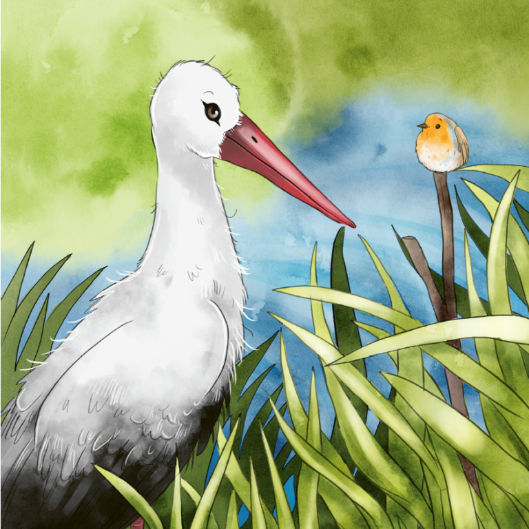 Storch und Rotkehlchen im Schilf Storch und Rotkehlchen im Schilf